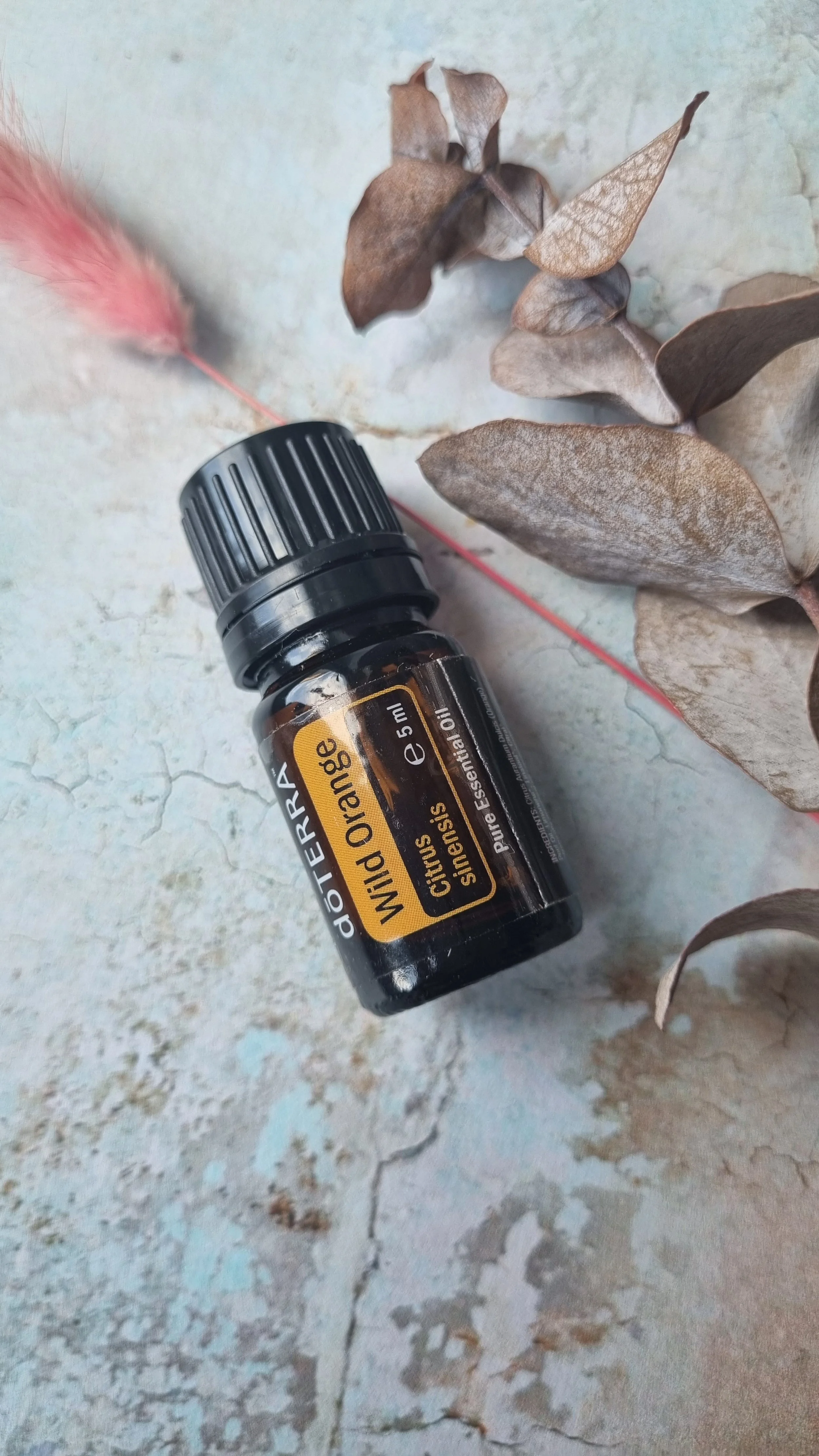 Wild+orange+5ml.jpg?format=1000w